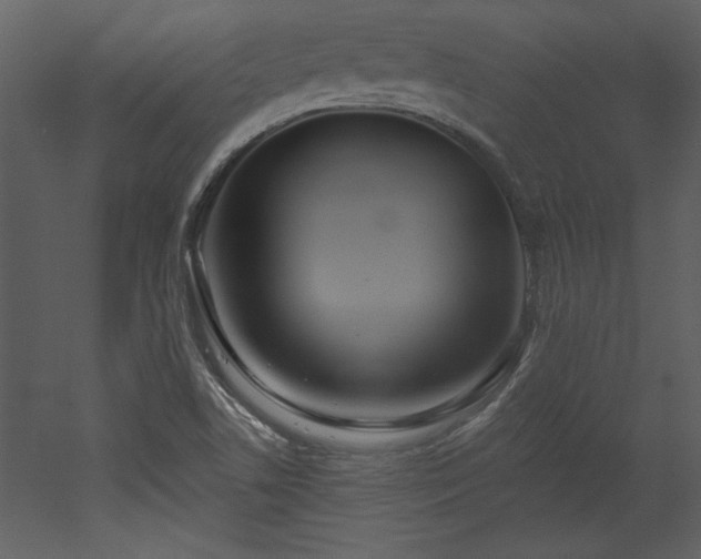 X0000052981506200507081109