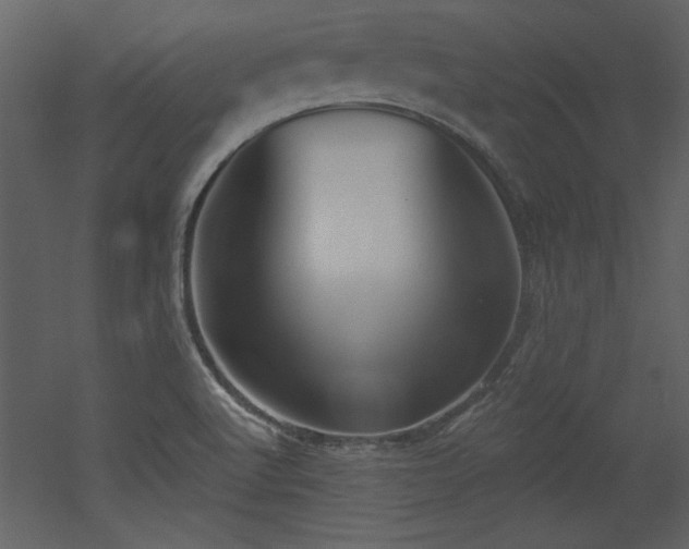 X0000052981512200507081109