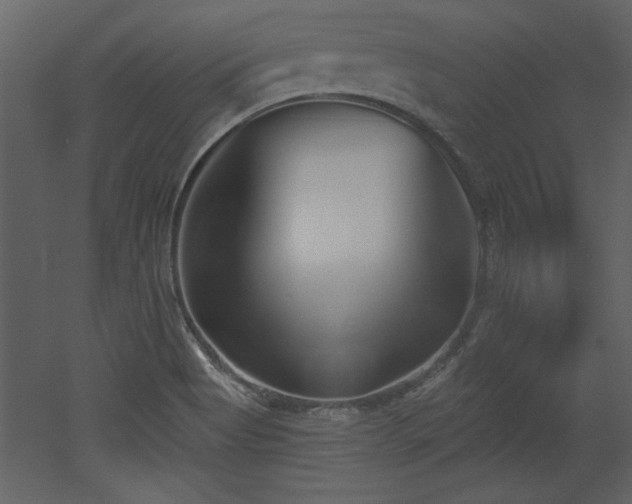 X0000052981513200507081109