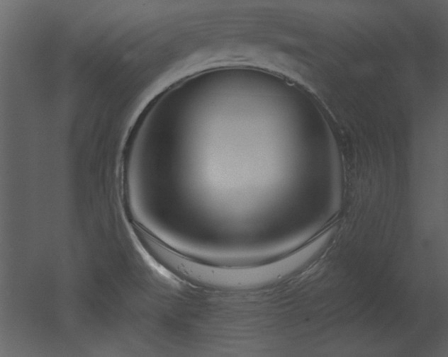 X0000052981519200507081109