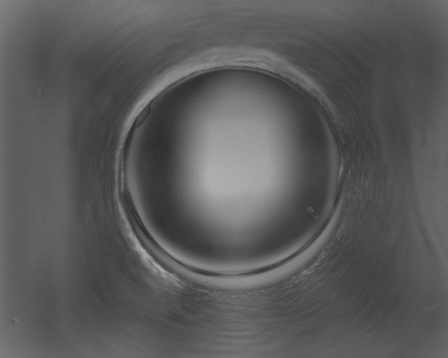 X0000052981520200507081109