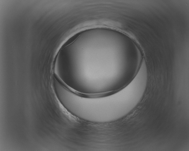 X0000052981524200507081109