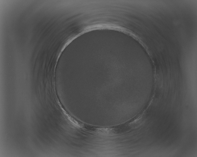 X0000052981529200507081109