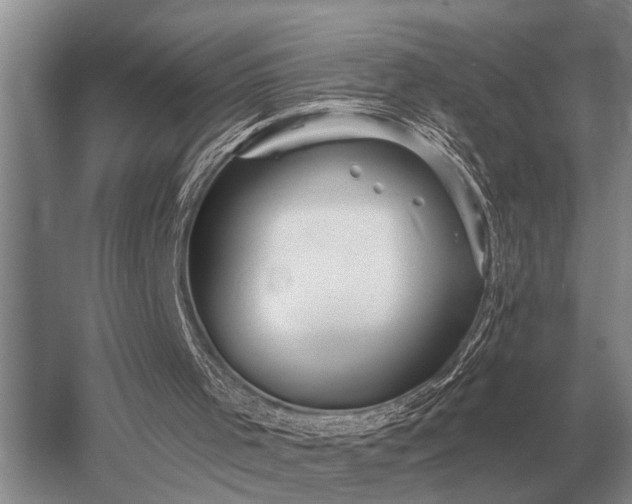 X0000052980001200507151840