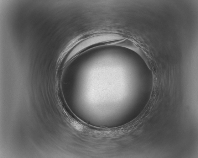 X0000052980005200507151840