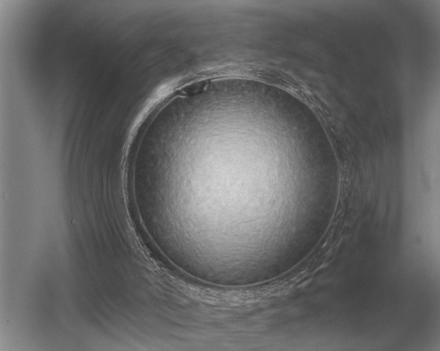 X0000052980006200507151840