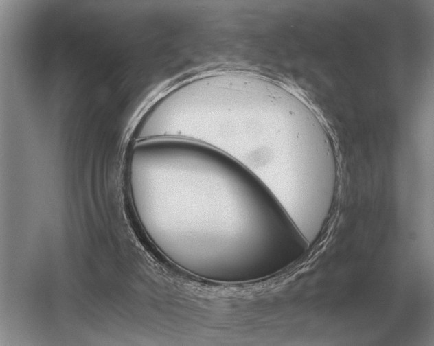 X0000052980007200507151840