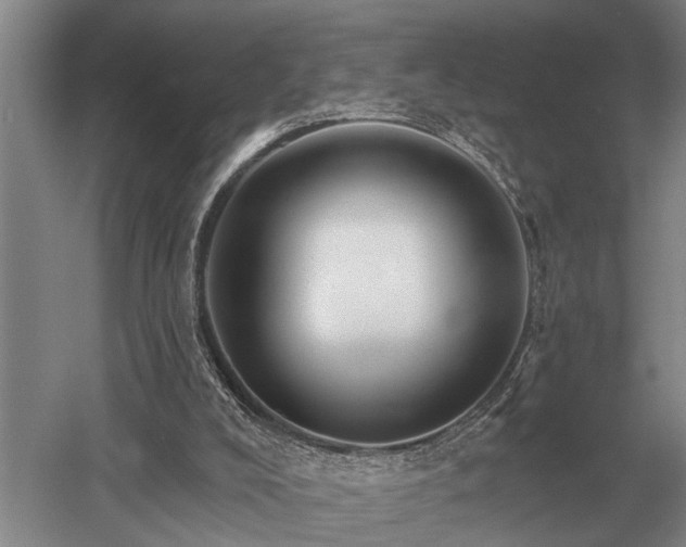 X0000052980008200507151840