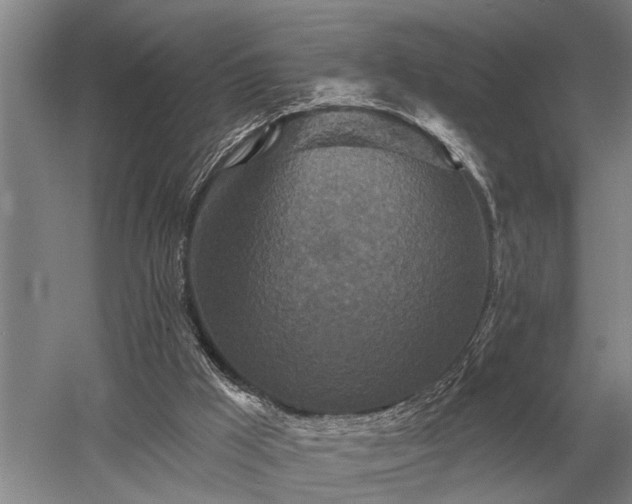 X0000052980009200507151840