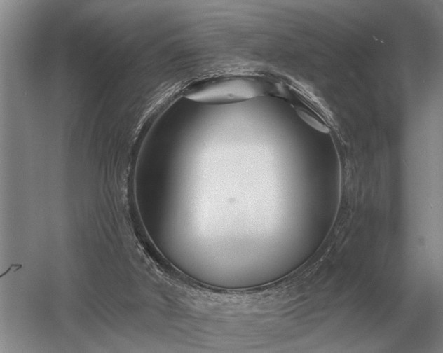 X0000052980010200507151840