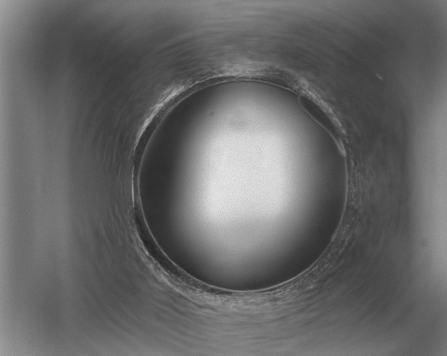 X0000052980011200507151840