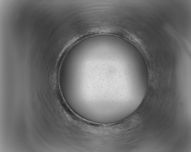 X0000052980012200507151840