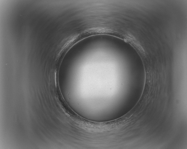 X0000052980014200507151840