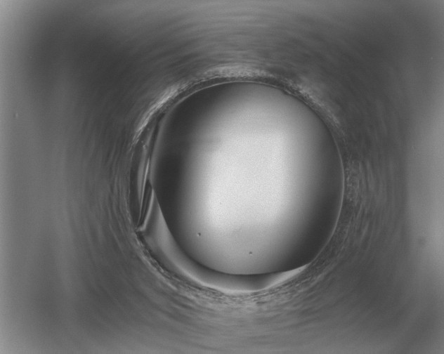 X0000052980015200507151840