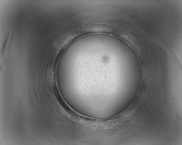 X0000052980016200507151840