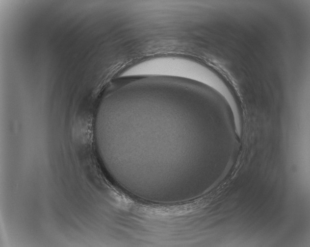 X0000052980017200507151840