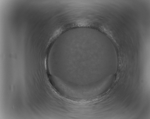 X0000052980019200507151840