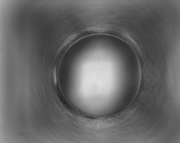 X0000052980020200507151840