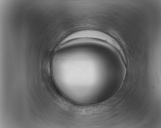 X0000052980021200507151840