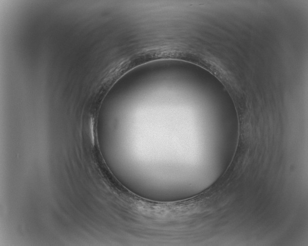 X0000052980022200507151840