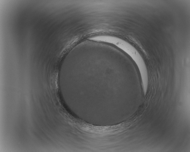 X0000052980023200507151840