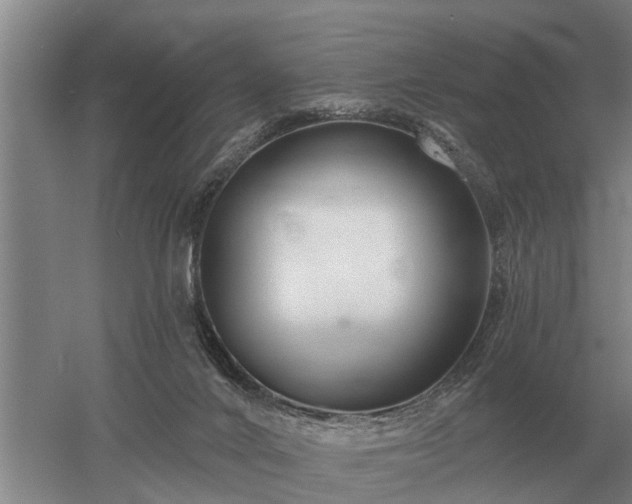 X0000052980024200507151840