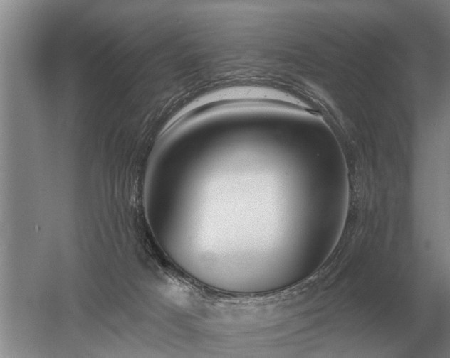 X0000052980025200507151840