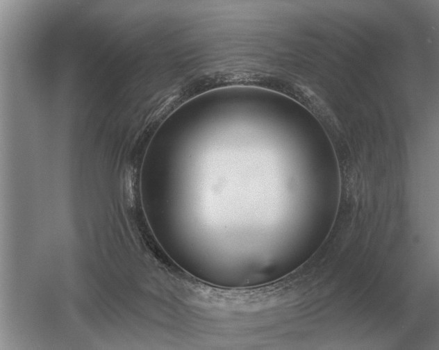 X0000052980026200507151840