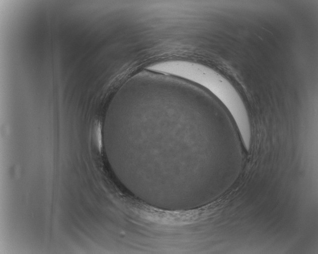 X0000052980027200507151840