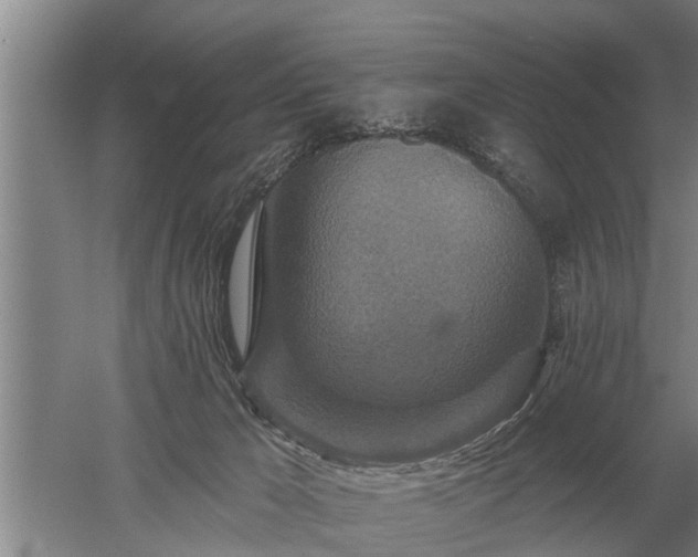 X0000052980029200507151840