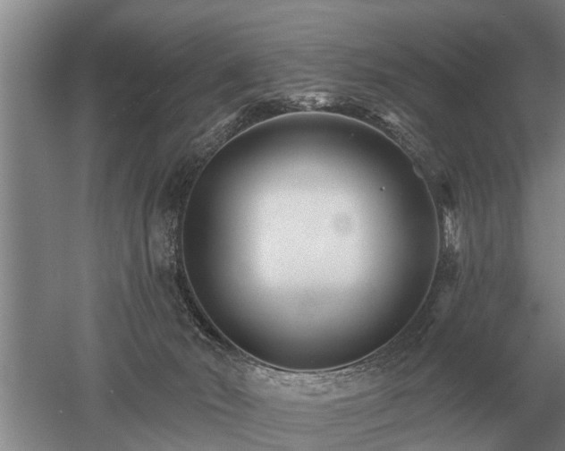 X0000052980030200507151840