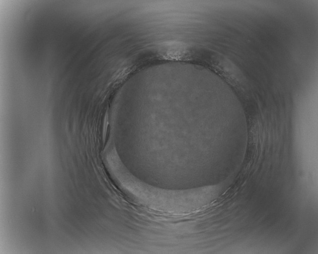 X0000052980031200507151840