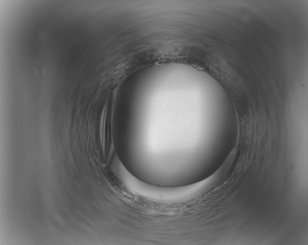 X0000052980033200507151840