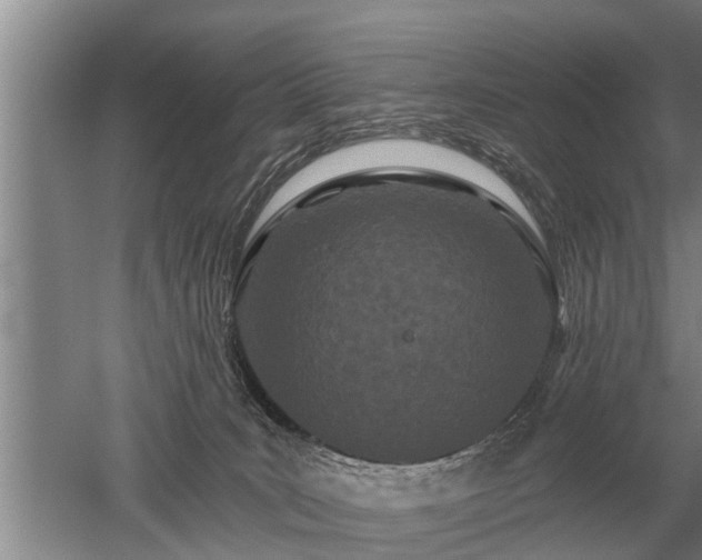 X0000052980035200507151840