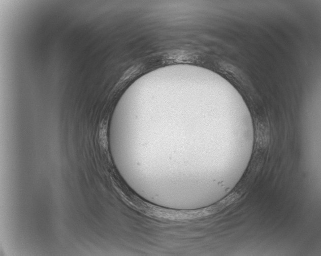 X0000052980036200507151840