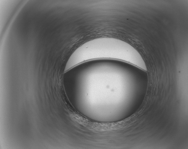 X0000052980037200507151840