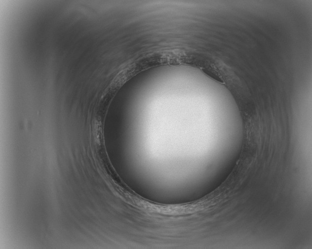 X0000052980038200507151840