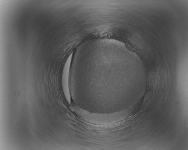 X0000052980039200507151840