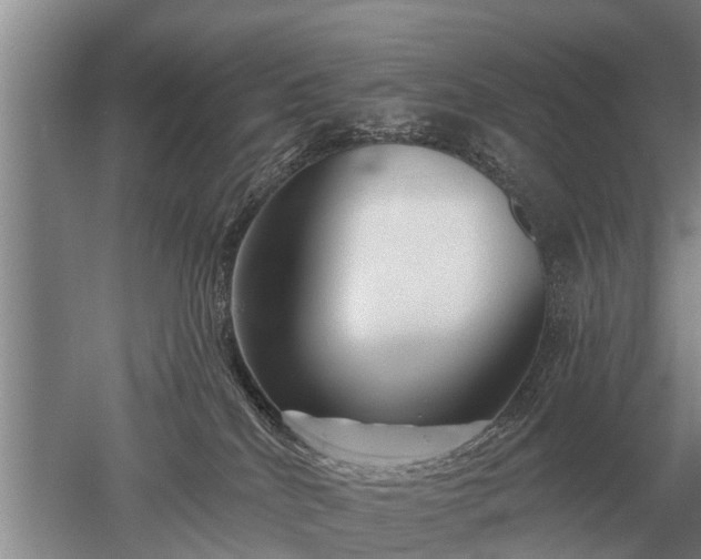 X0000052980040200507151840