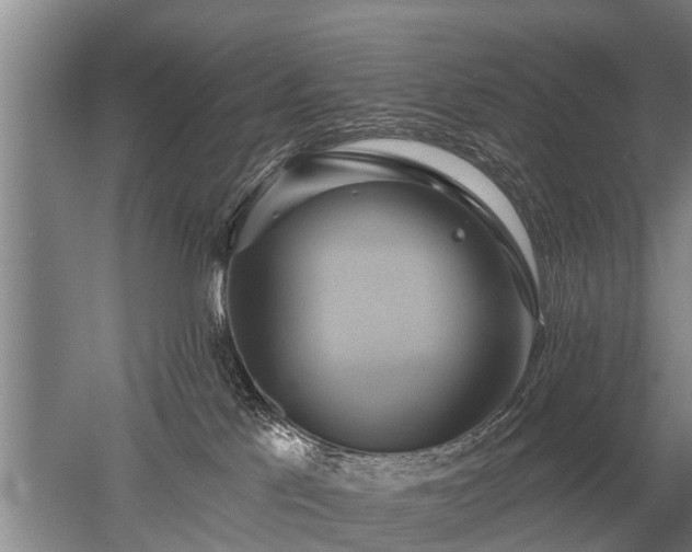 X0000052980041200507151840