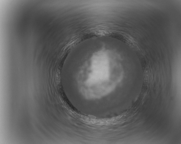 X0000052980043200507151840