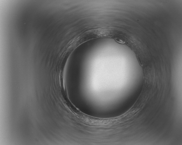 X0000052980044200507151839