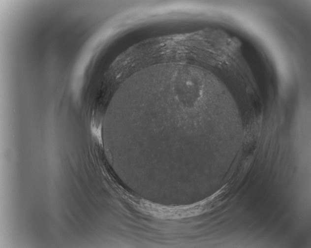 X0000052980047200507151839