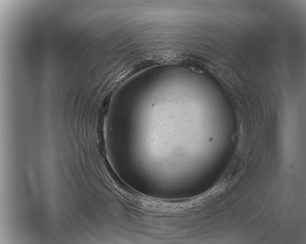 X0000052980048200507151839