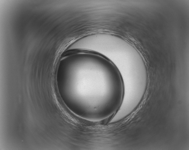 X0000052980049200507151839