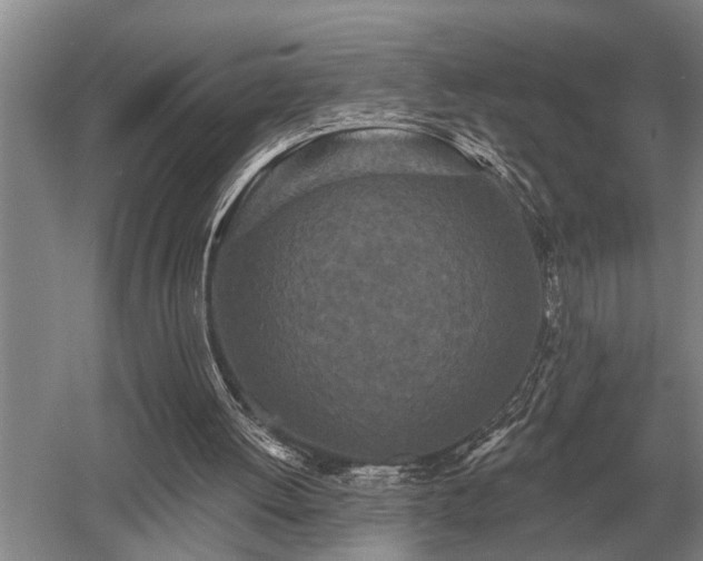 X0000052980052200507151839