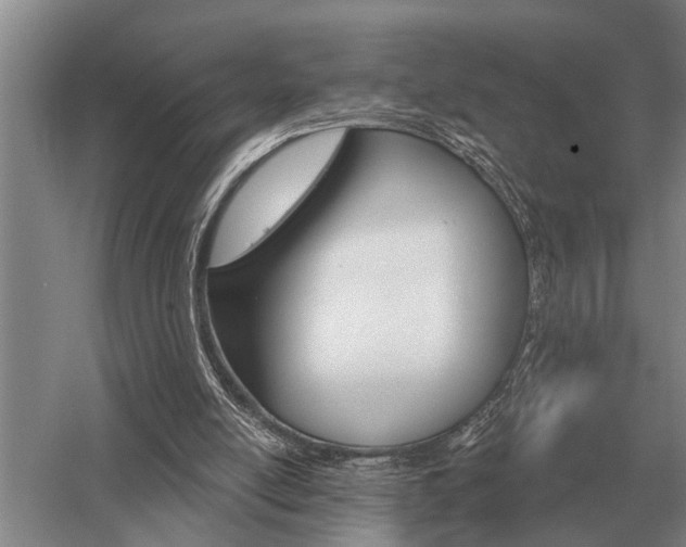 X0000052980054200507151839