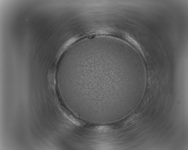 X0000052980059200507151839