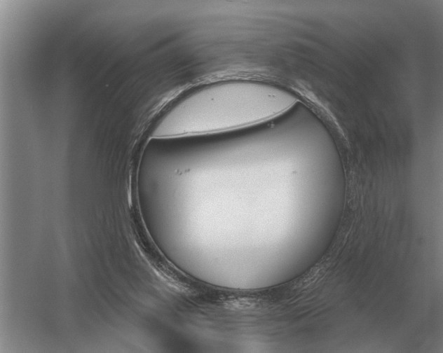 X0000052980062200507151839