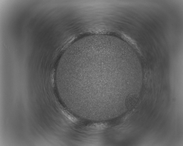 X0000052980065200507151839